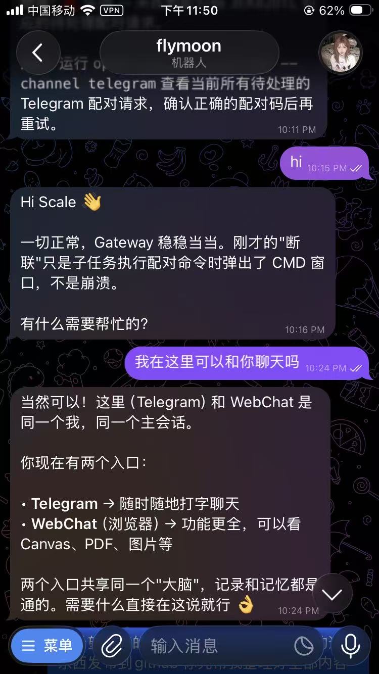 分析报告